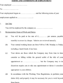 Terms And Conditions of Employment Template form
