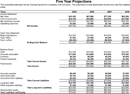 5 Year Business Financial Projections form