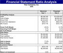 Financial Statement Ratios form