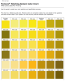 Pantone Matching System Color Chart form