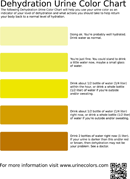 Dehydration Urine Color Chart form