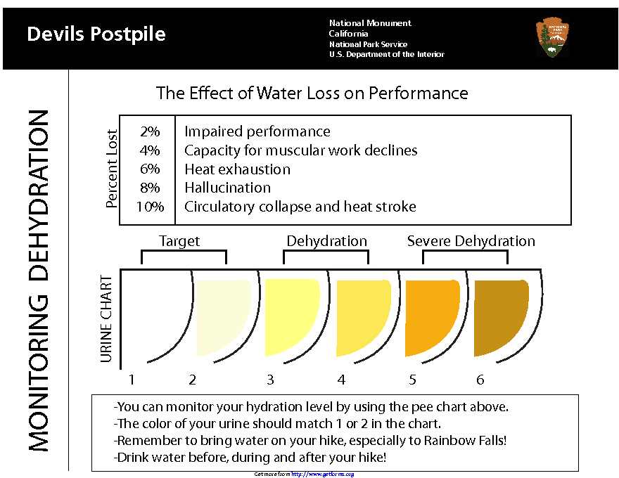 Urine Color Chart for Comfort Stations