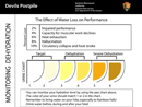 Urine Color Chart for Comfort Stations form