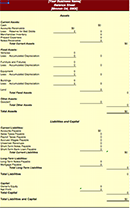 Balance Sheet Example Excel form