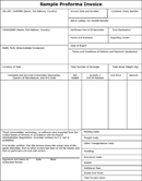 Proforma Invoice Example form