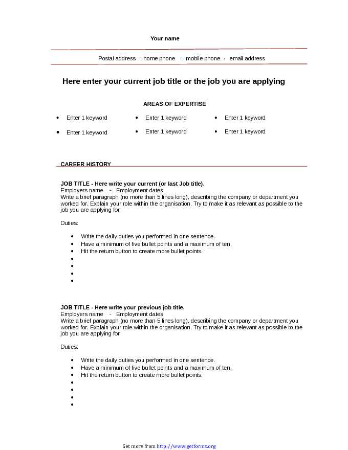 Blank CV Template Example 2