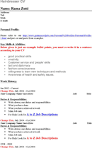 Hairdresser CV form