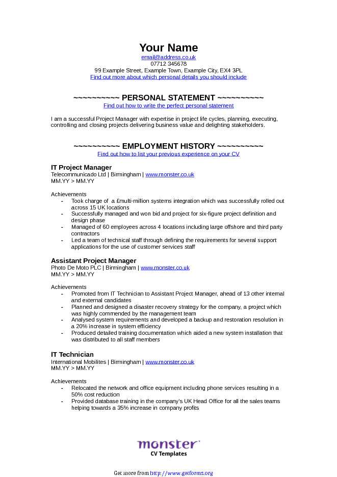 IT - Project Manager CV Template