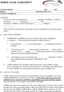 Horse Lease Agreement form