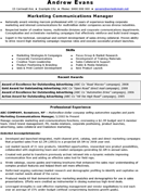 CV Template Marketing Manager form