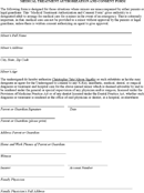 Medical Treatment Authorization and Consent Form form