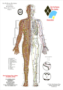 Pressure Point Chart 1 form