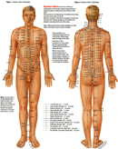 Pressure Point Chart 2 form