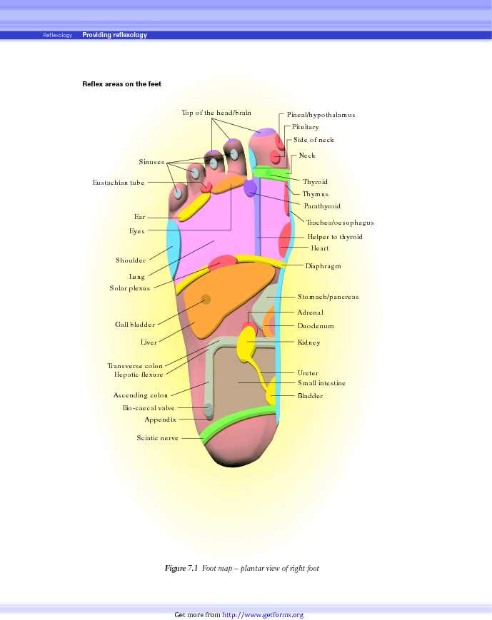 Reflexology Chart 1