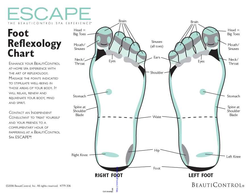 Reflexology Chart 2