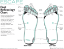 Reflexology Chart 2 form