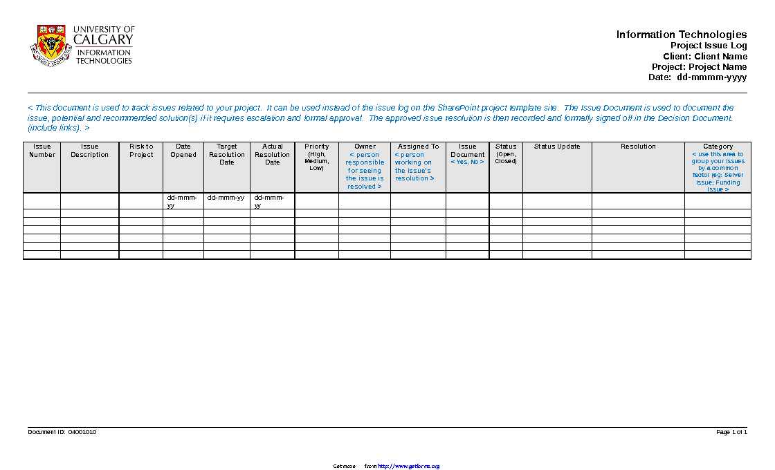 Project Issues Log