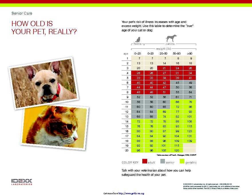 Dog Years Chart 1