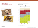 Dog Years Chart 1 form