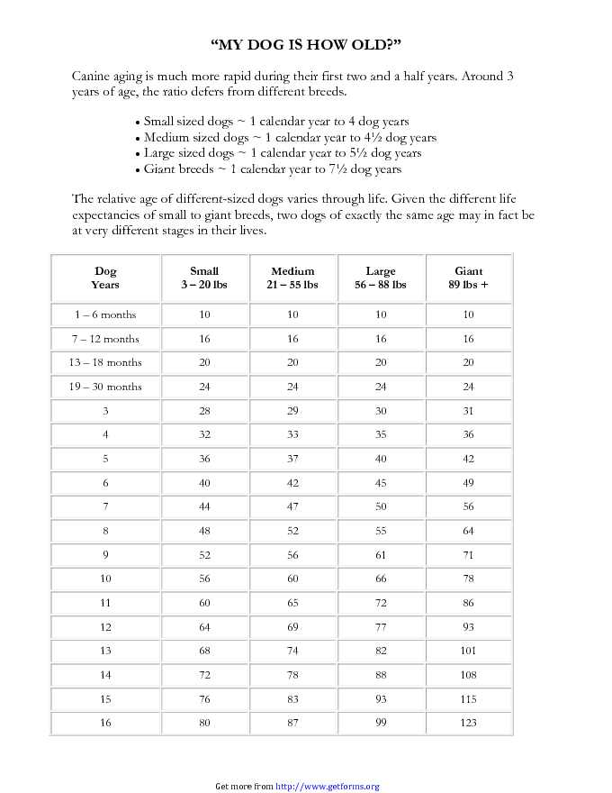 Dog Years Chart 2