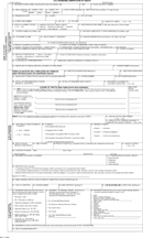 Death Certificate Form form