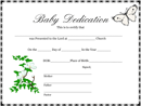 Baby Dedication Certificate 1 form