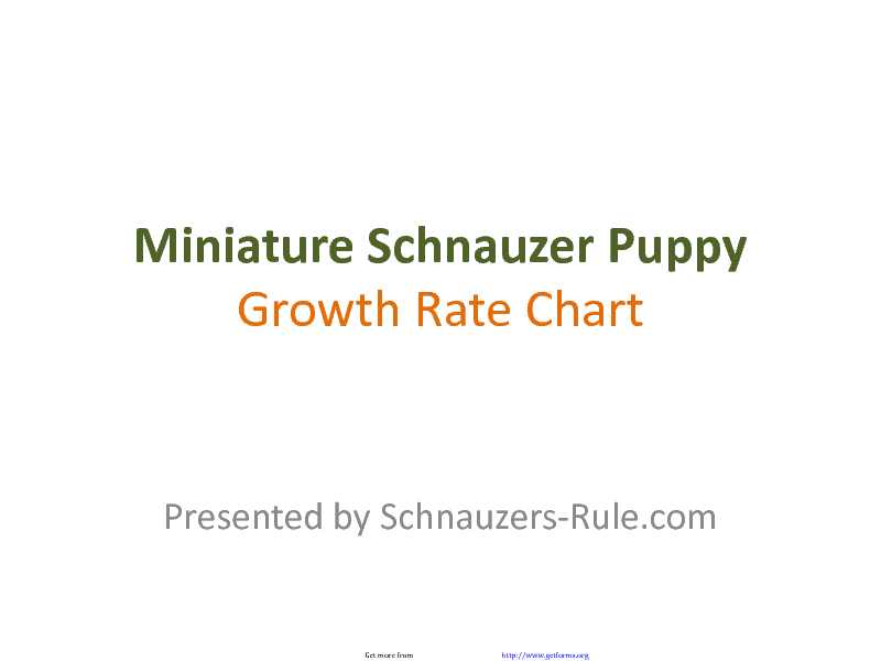 Miniature Schnauzer Puppy Growth Rate Chart