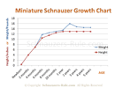 Miniature Schnauzer Puppy Growth Rate Chart form