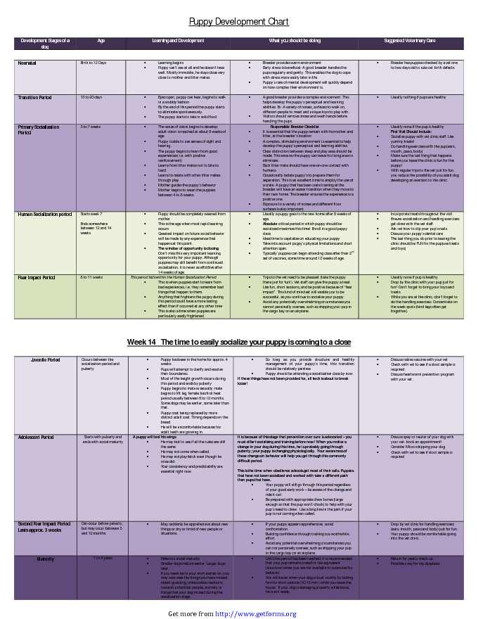 Puppy Development Chart