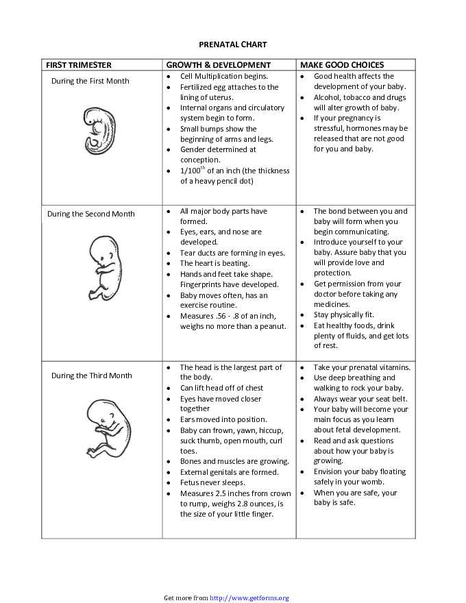 Prenatal Chart