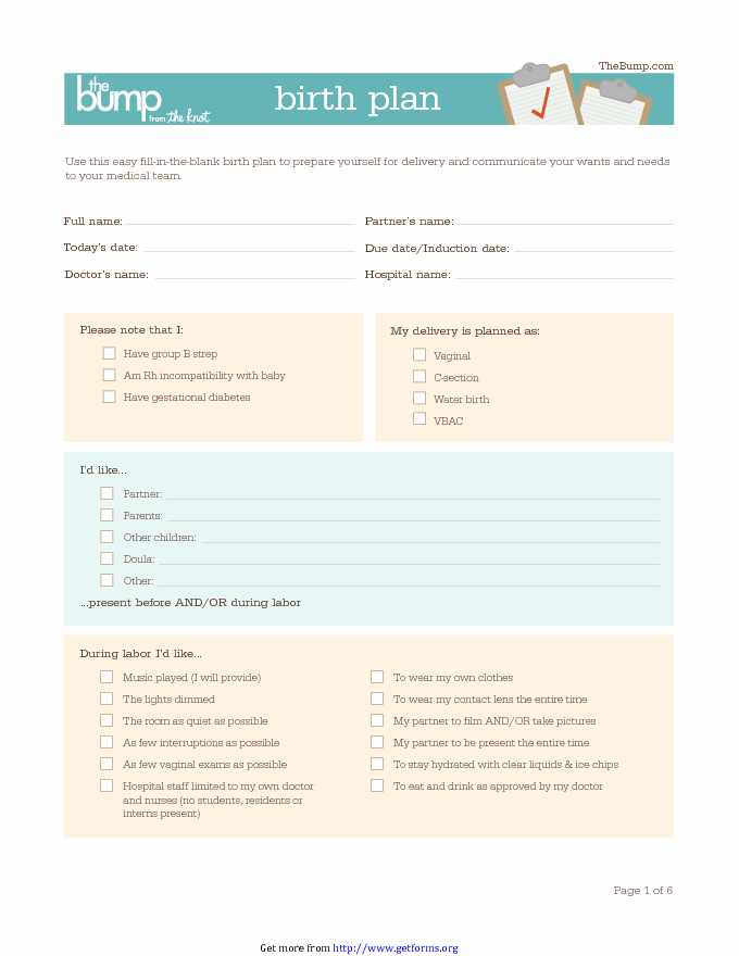 Birth Plan Template