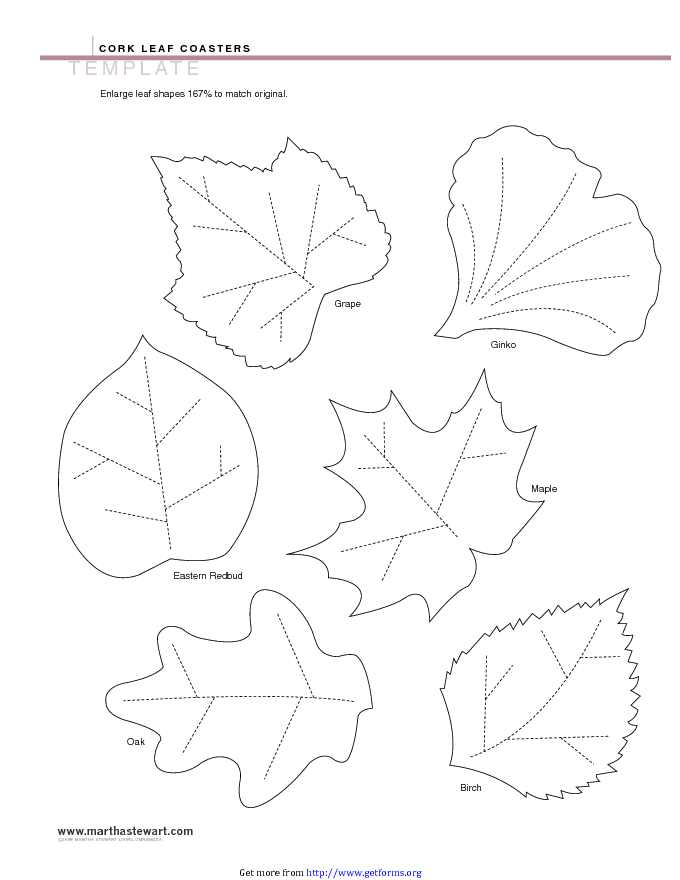 Leaf Template 1