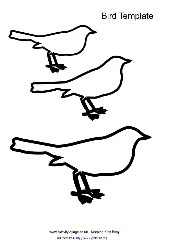 Bird Template 2