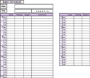 Baby Feeding Schedule form