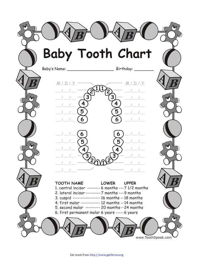 Baby Teeth Chart 2