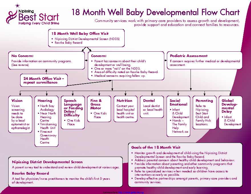 18 Month Well Baby Developmental Flow Chart