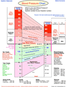 Blood Pressure Chart 1 form