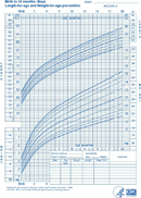 Boys - Birth to 24 Months - Length and Weight for Age form