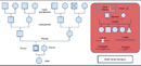 Genogram Template 1 form