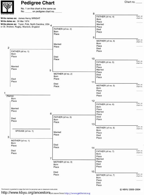 Pedigree Chart 1