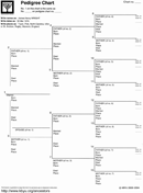 Pedigree Chart 1 form