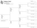 Pedigree Chart 2 form