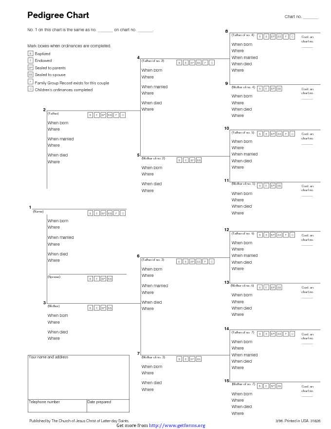 Pedigree Chart 3