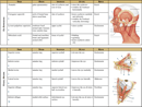 Muscle Chart 1 form