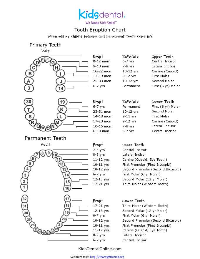 Tooth Eruption Chart