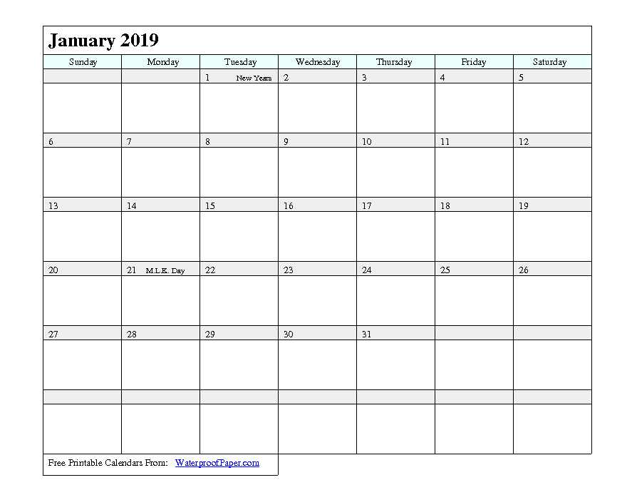 January 2019 Calendar 1