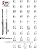 Flute Fingering Chart 1 form