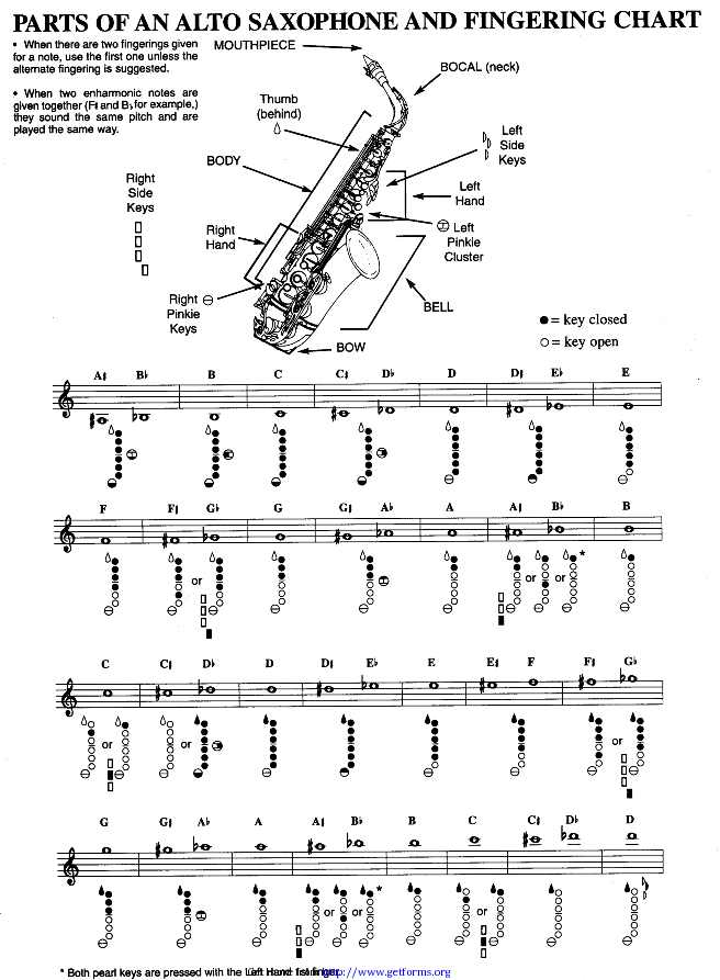 Parts of An Alto Saxophone And Fingering Chart