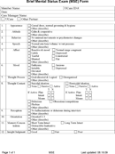 Brief Mental Status Exam (mse) Form form