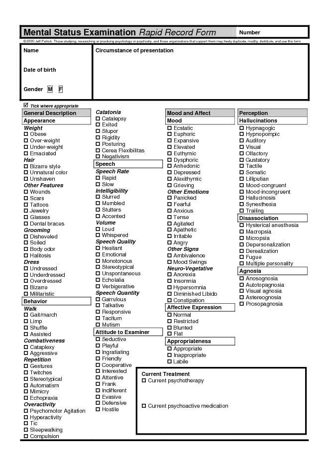 Mental Status Examination Rapid Record Form